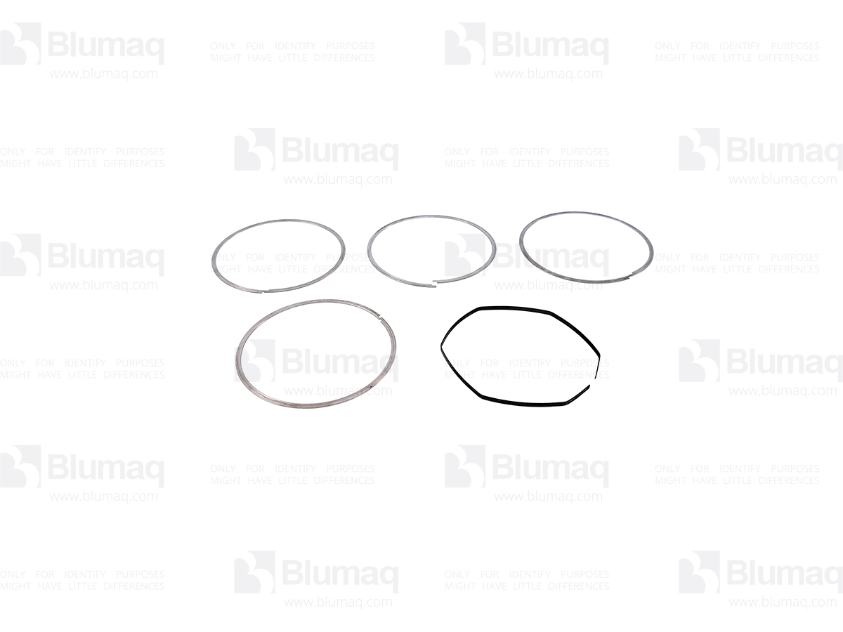 100-7401 Ring Set for BLUMAQ
