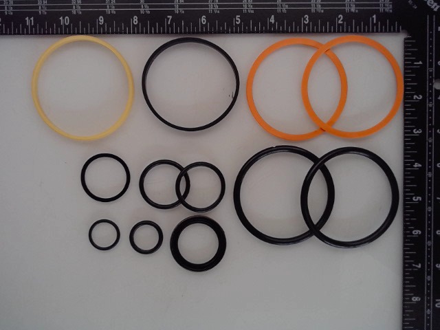 854181 Seal Kit for AGCO