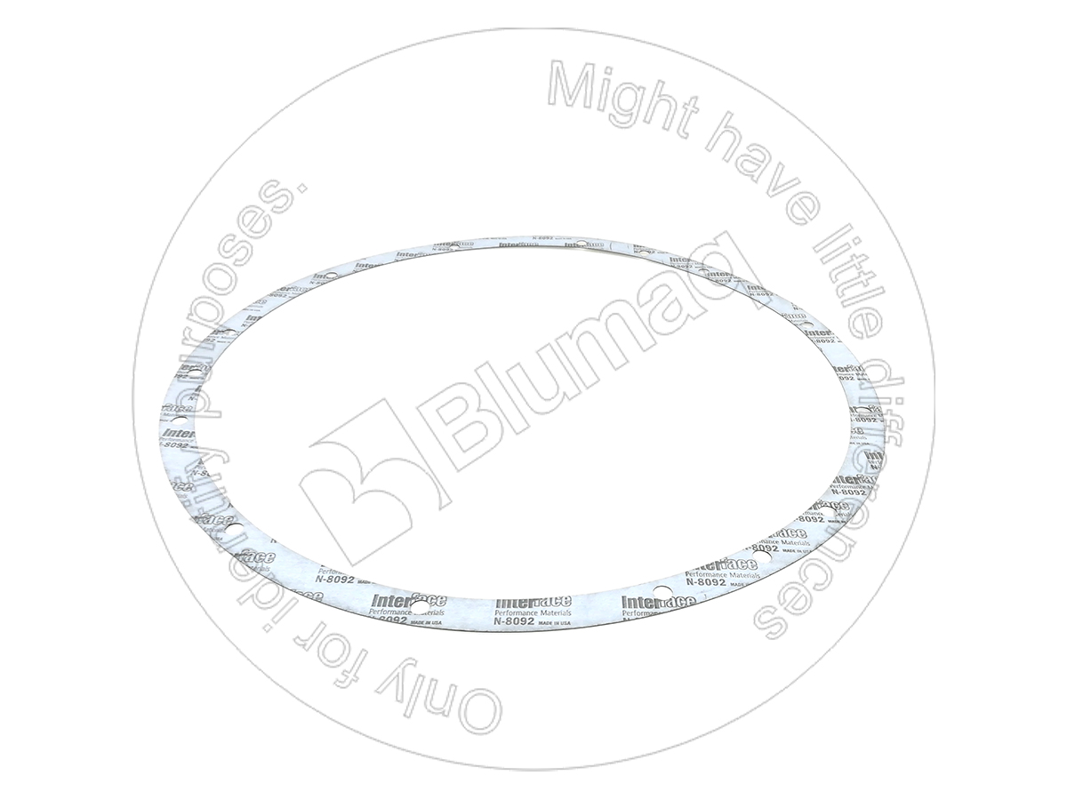 3L-0625 Gasket for BLUMAQ