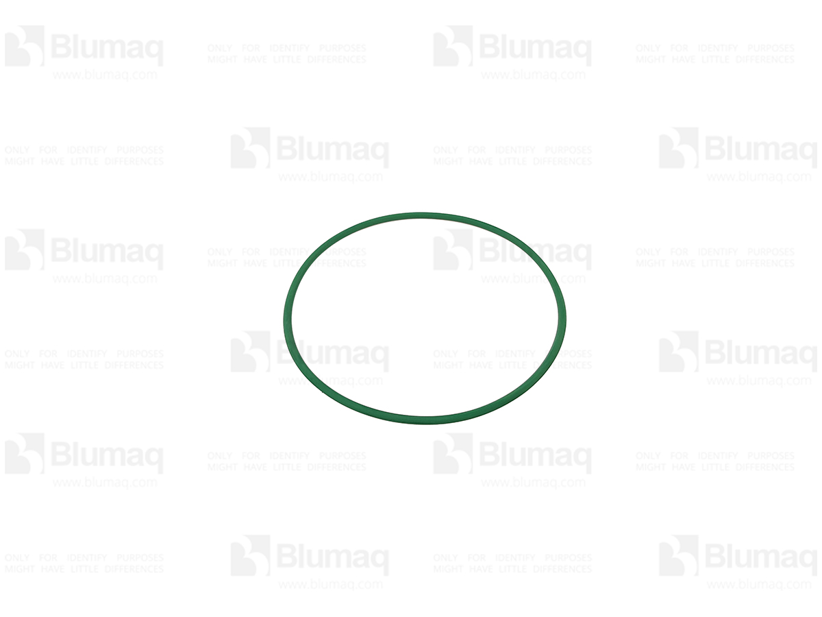 VO15043150 BLUMAQ Seal O-ring