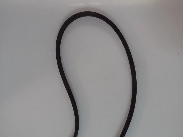 72818 Belt