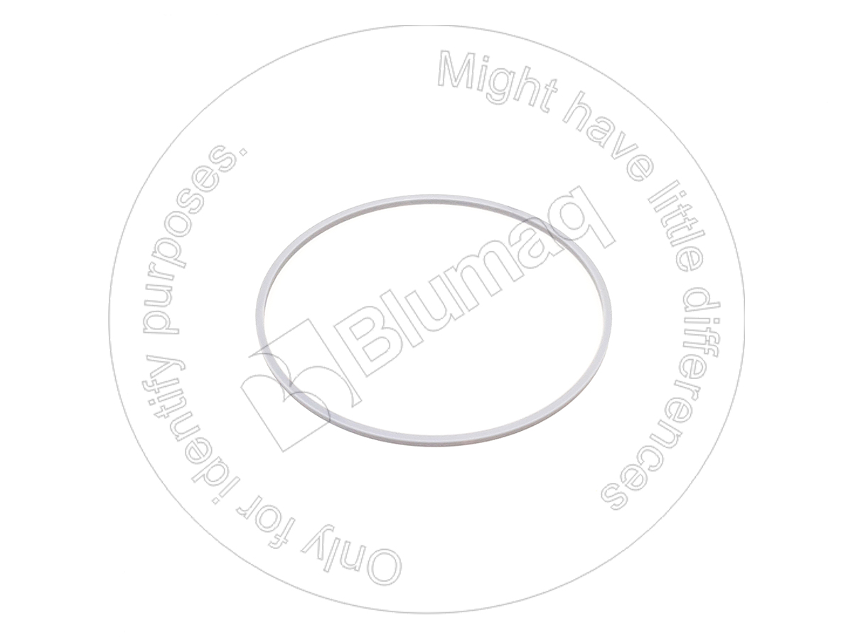 3G-2276 Gasket for BLUMAQ