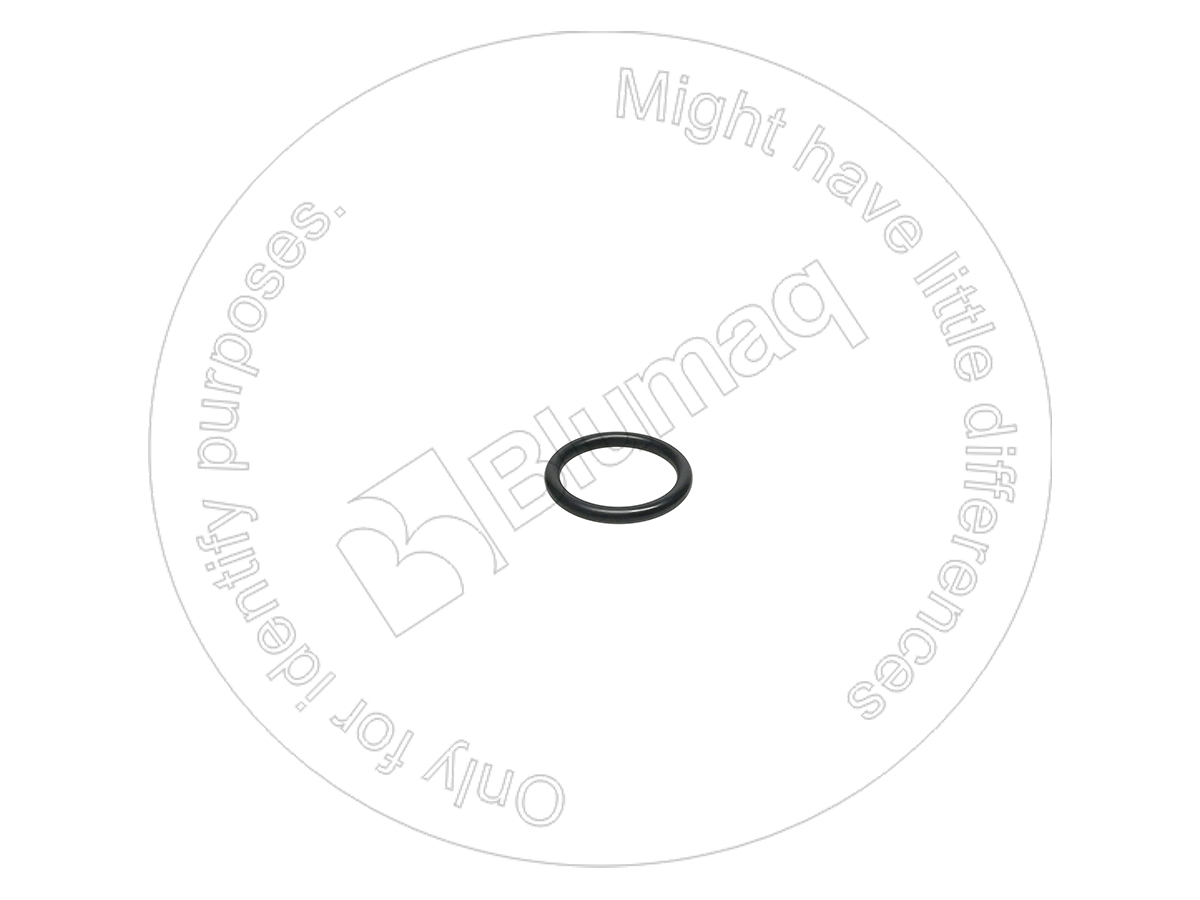 CSS06165 Seal O-ring
