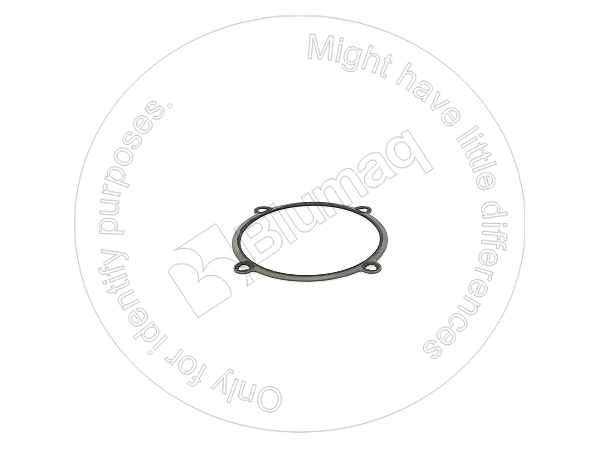 324-0891 Seal for BLUMAQ