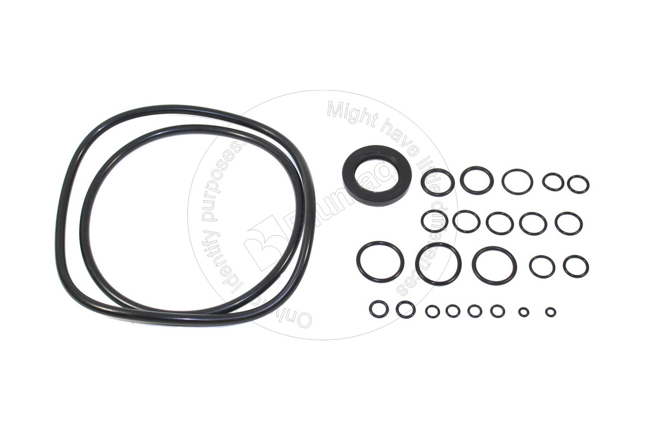VO8230-21810 Seal for BLUMAQ