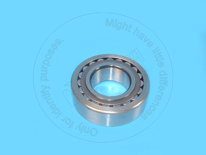 7D-7259 Bearing for BLUMAQ