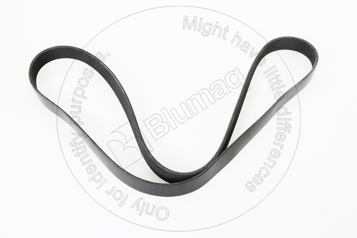 CSJ911564 Belt