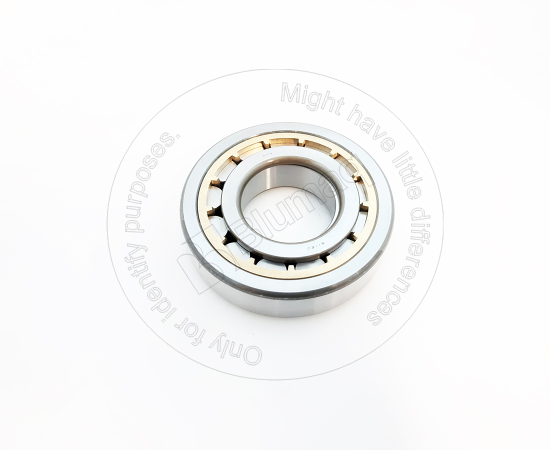 NUP311-C3 Roller Bearing for BLUMAQ