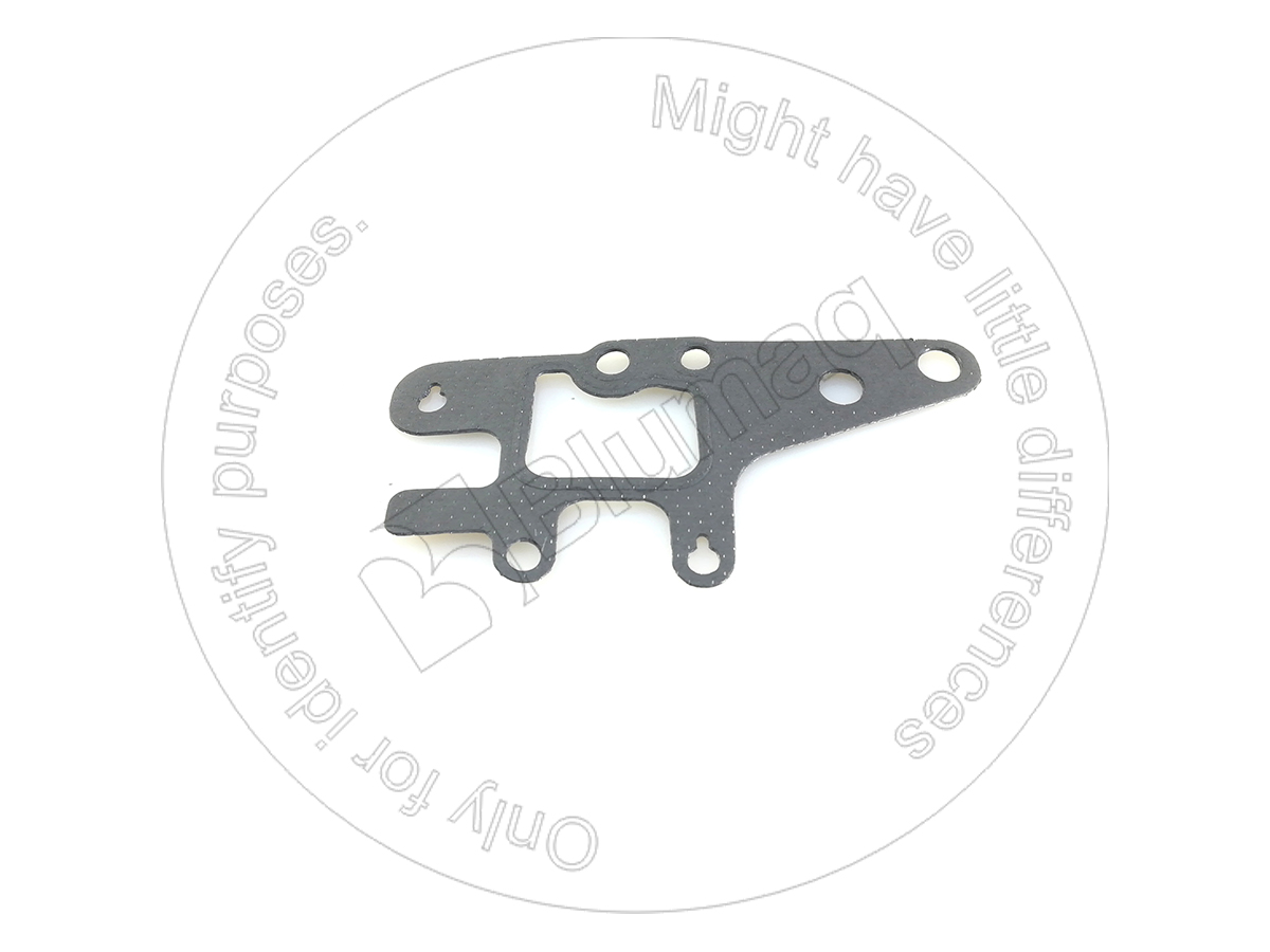 034.411 Gasket for BLUMAQ