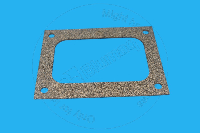 3D-2981 Gasket for BLUMAQ