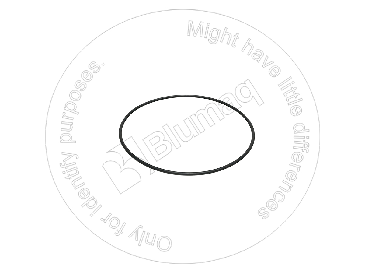 AC2248 Seal O-ring