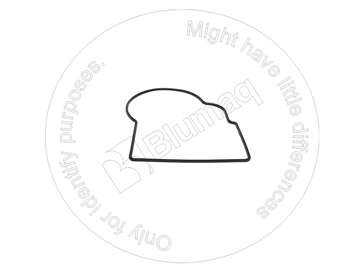 115-1192 Seal for BLUMAQ