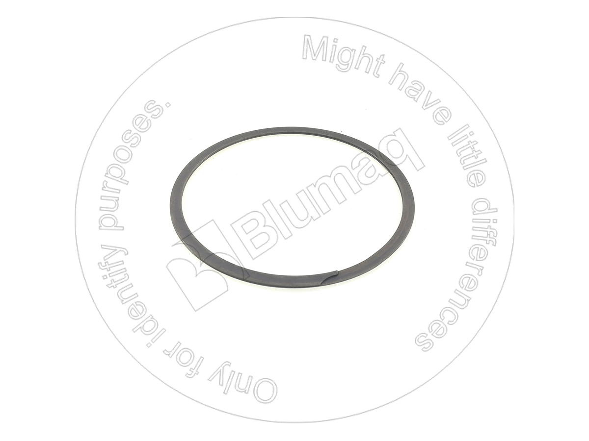 5P-5825 Seal Ring for BLUMAQ