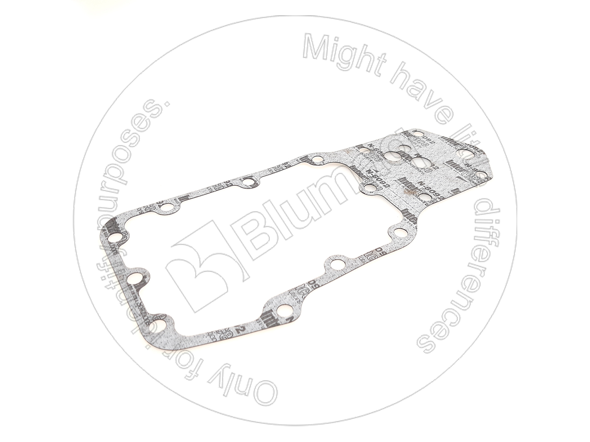 CS87549580 Gasket