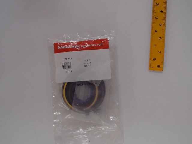 123978 MACDON Seal Kit