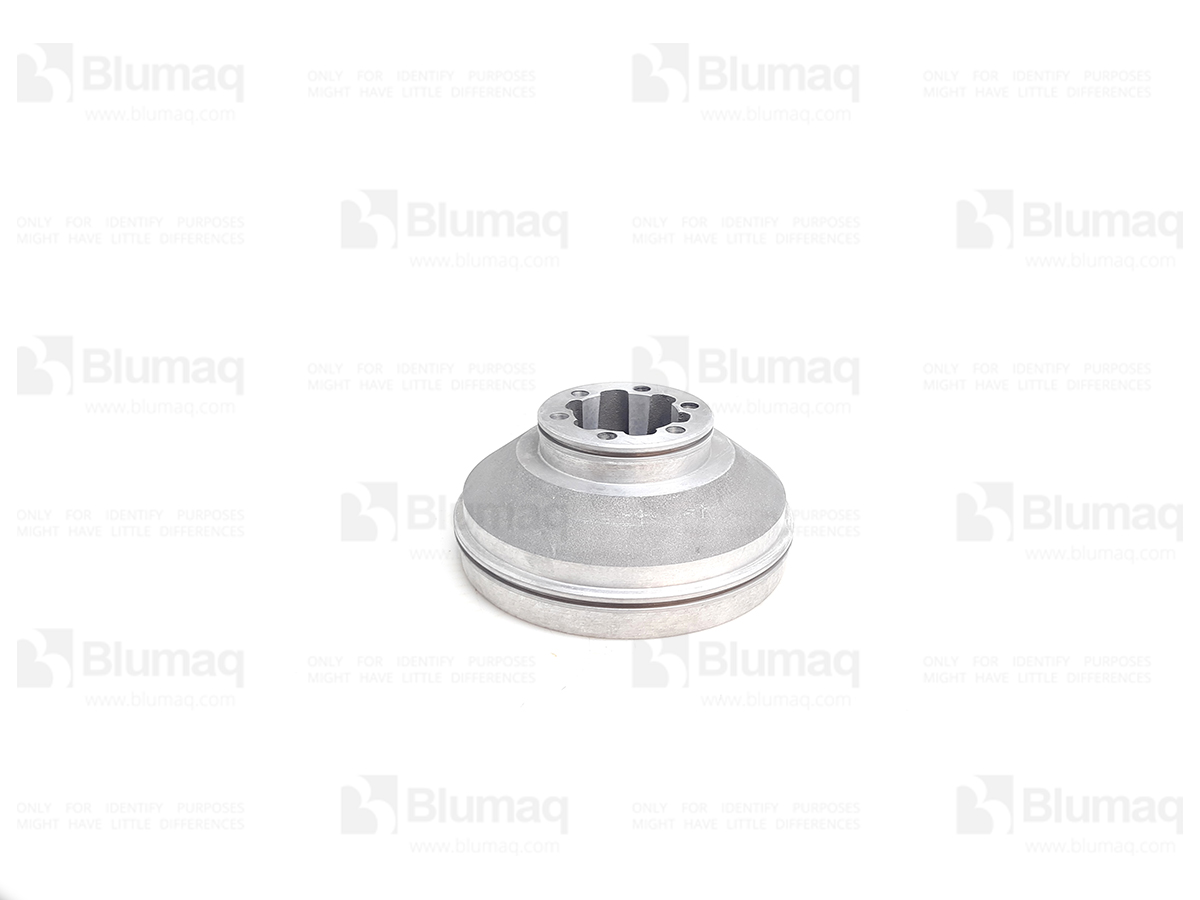 218-2309 Piston for BLUMAQ