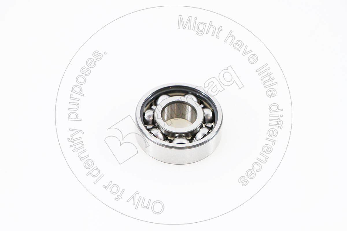 6000 Ball Bearing