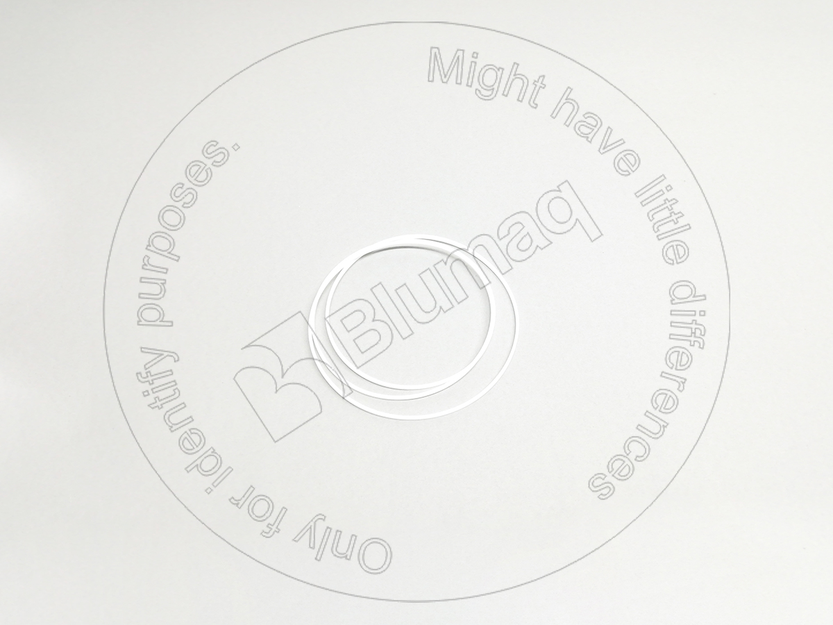 1S-7347 Segment for BLUMAQ