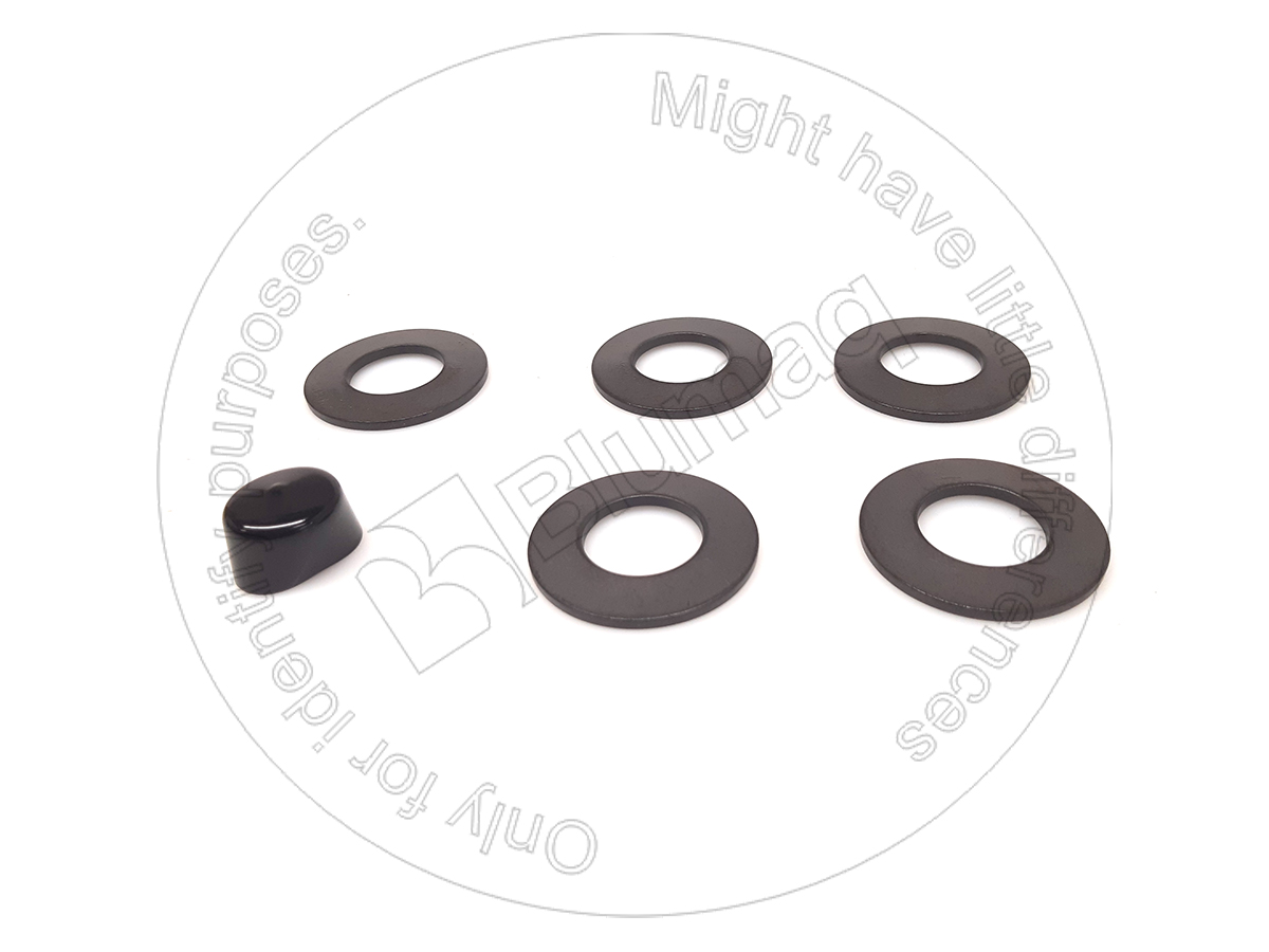 VO17466491 Spring Kit for BLUMAQ