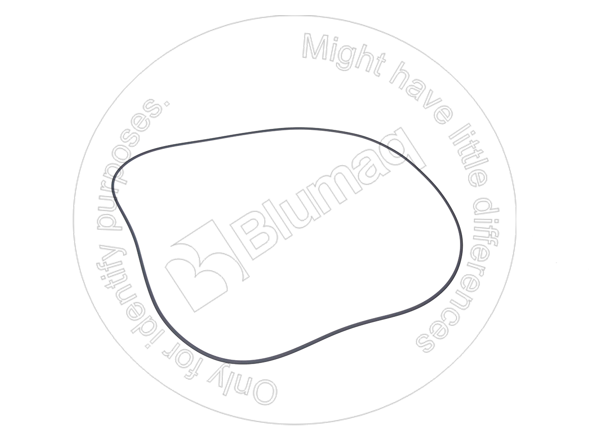 5P-9147 Seal O-ring for BLUMAQ