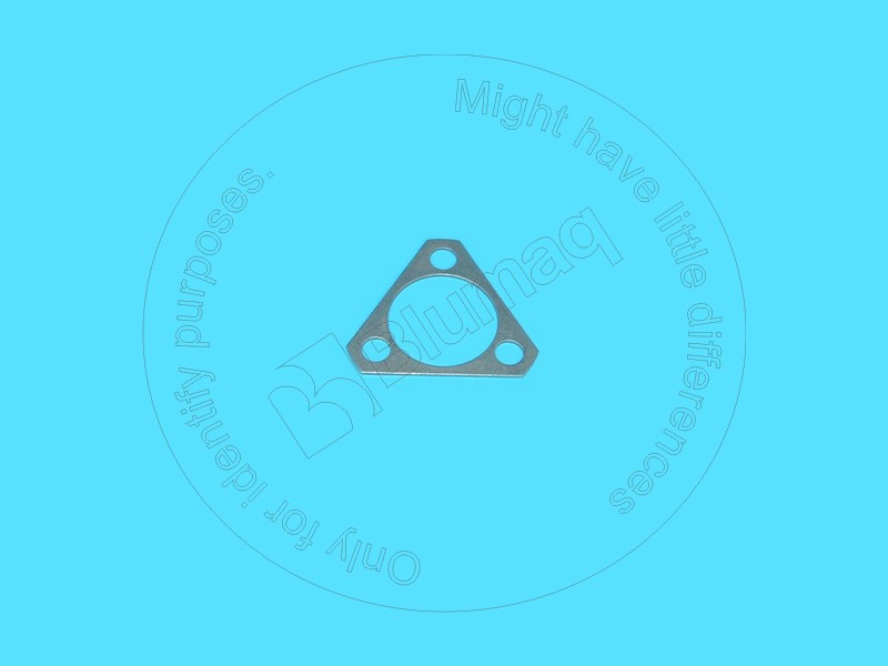 054-6538 Shim for BLUMAQ