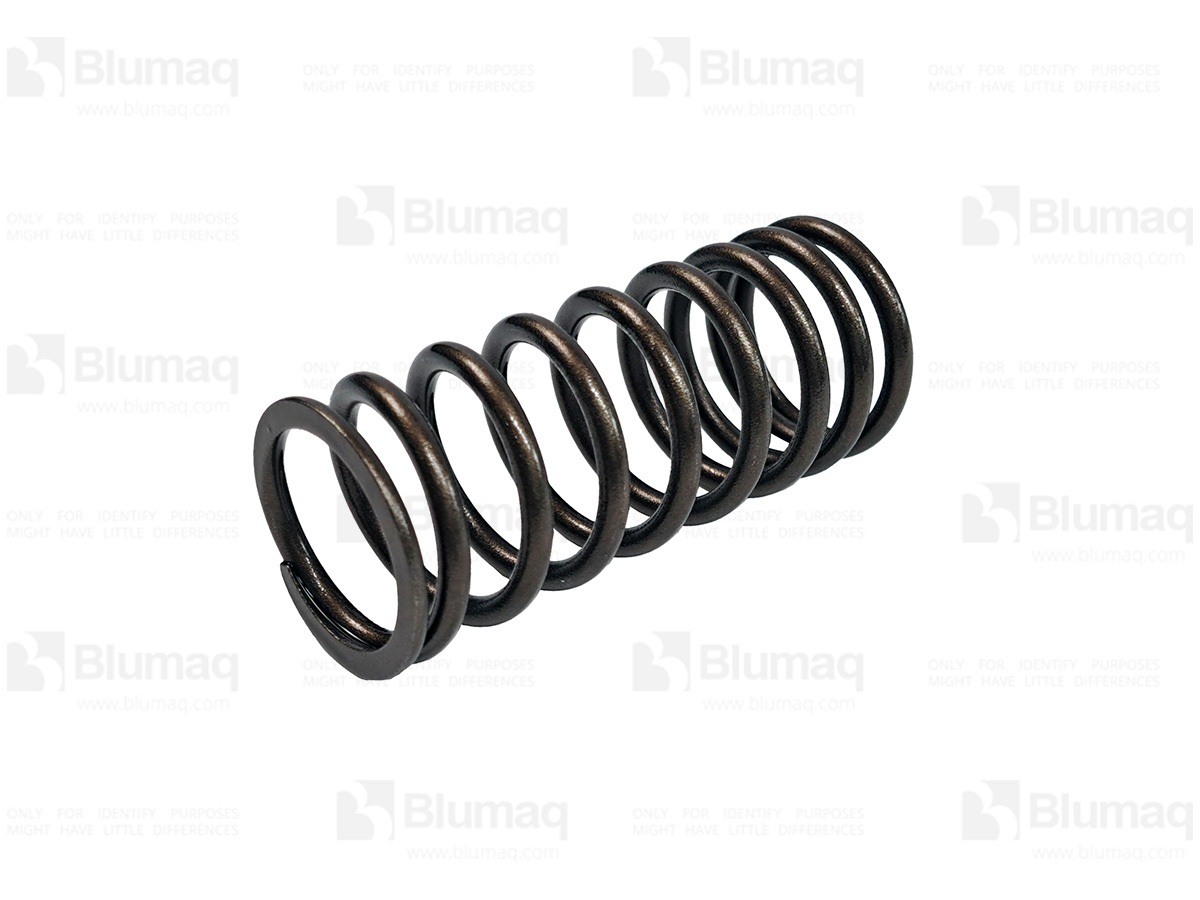 6210-41-4410 Valve Spring for BLUMAQ