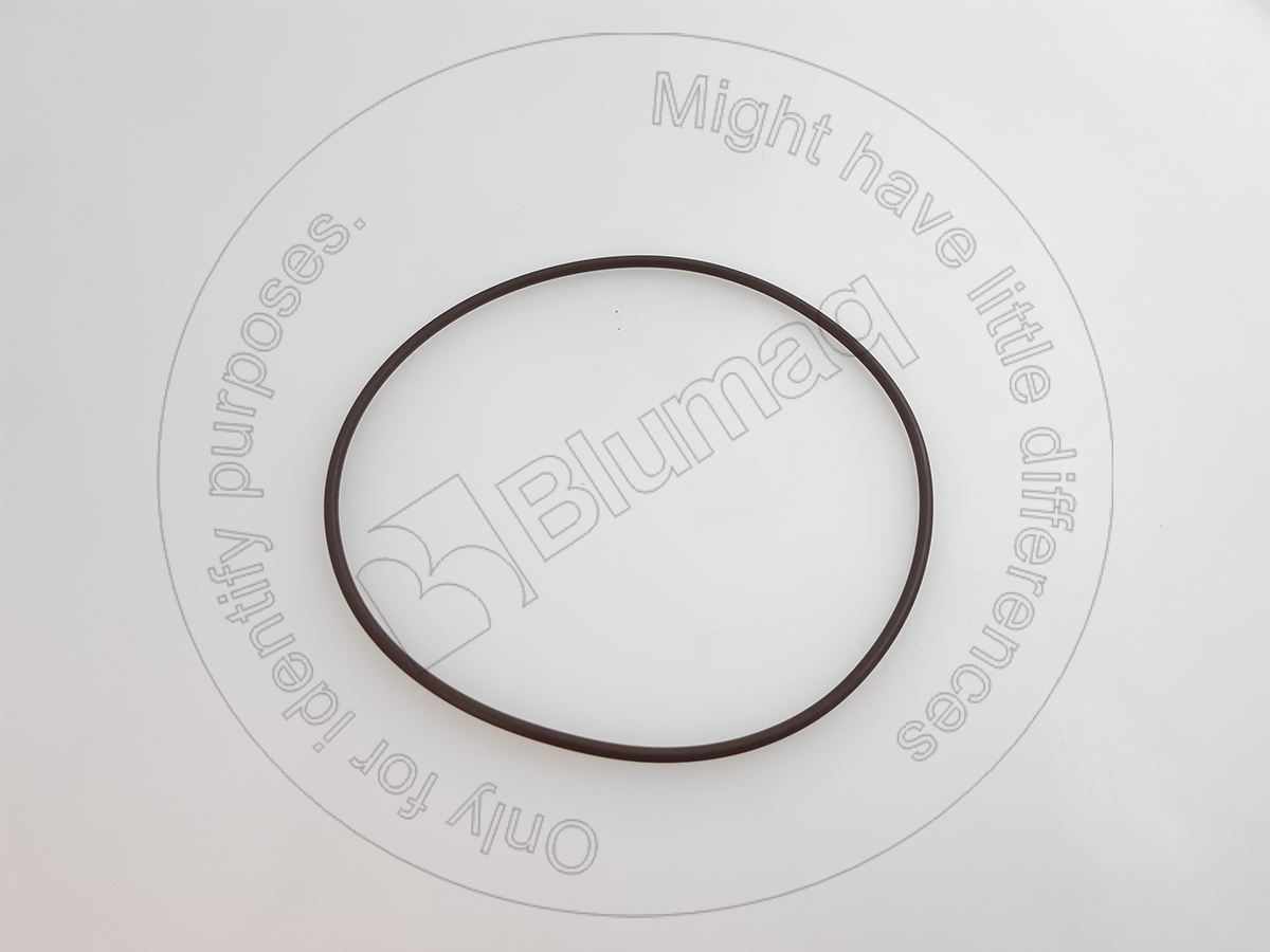 6V-3549 Seal O-ring for BLUMAQ