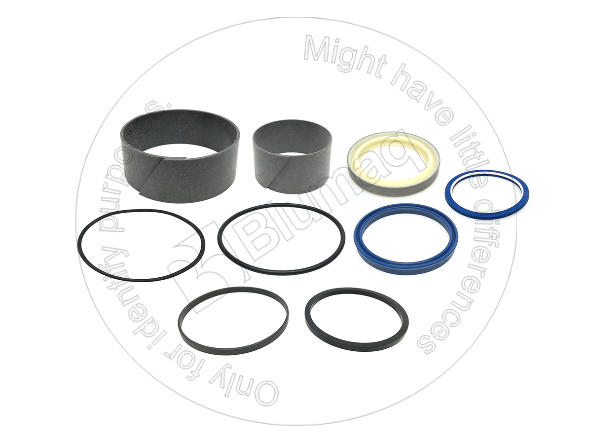 669305 Hydraulic Seal Kit for BLUMAQ