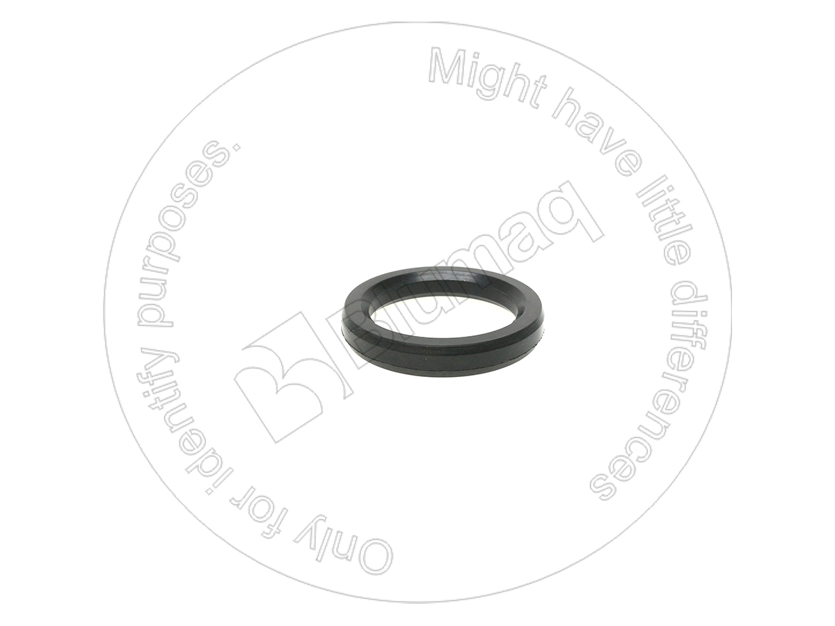 039.394 Seal for BLUMAQ