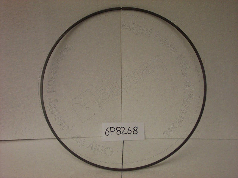 6P-8268 Seal Ring