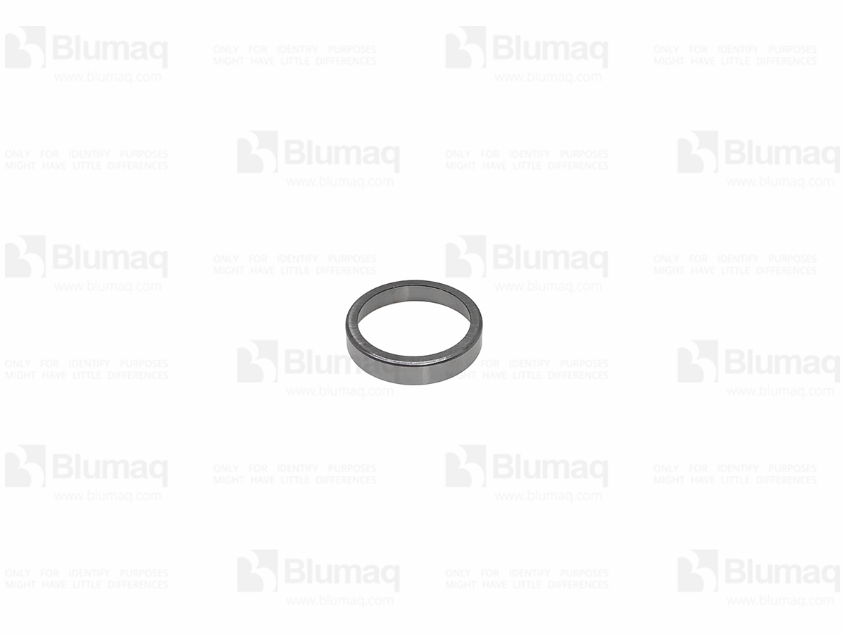 098-3173 Bearing Cup for BLUMAQ