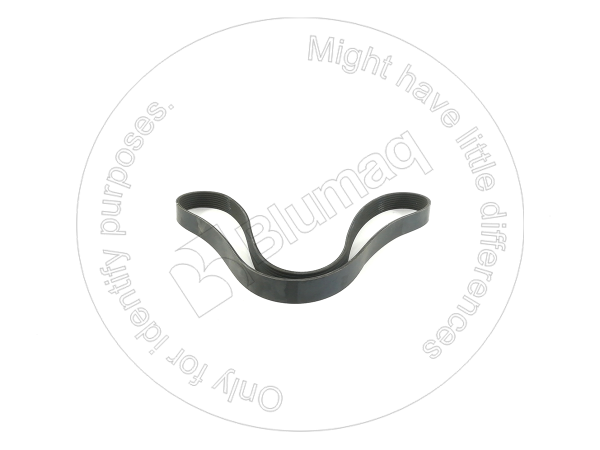 CSJ911588 Belt
