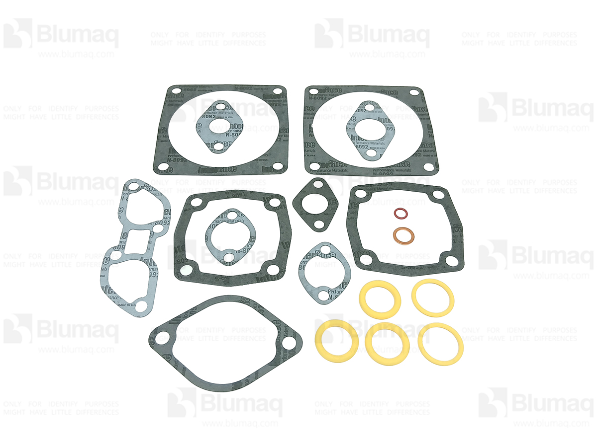 6V-2518 Gasket Kit for BLUMAQ