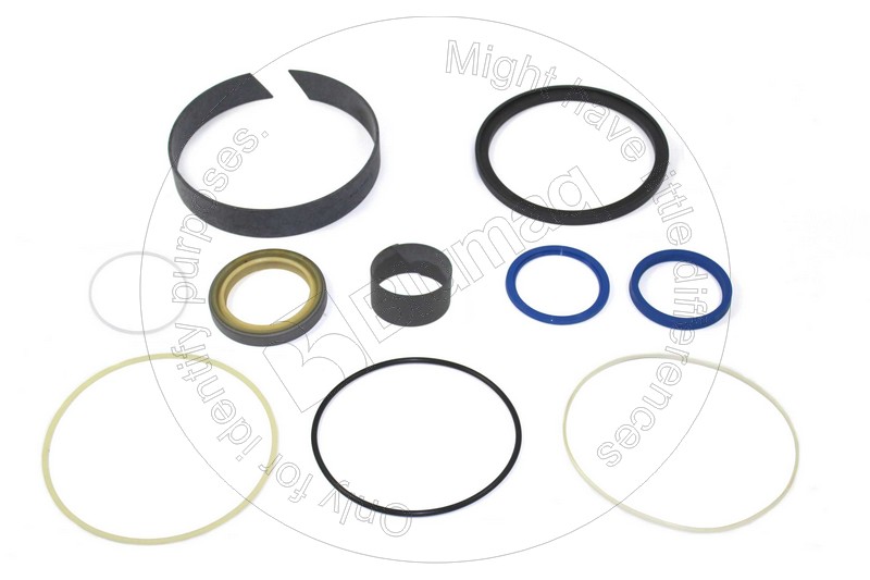 244-2047 BLUMAQ Hydraulic Seal Kit