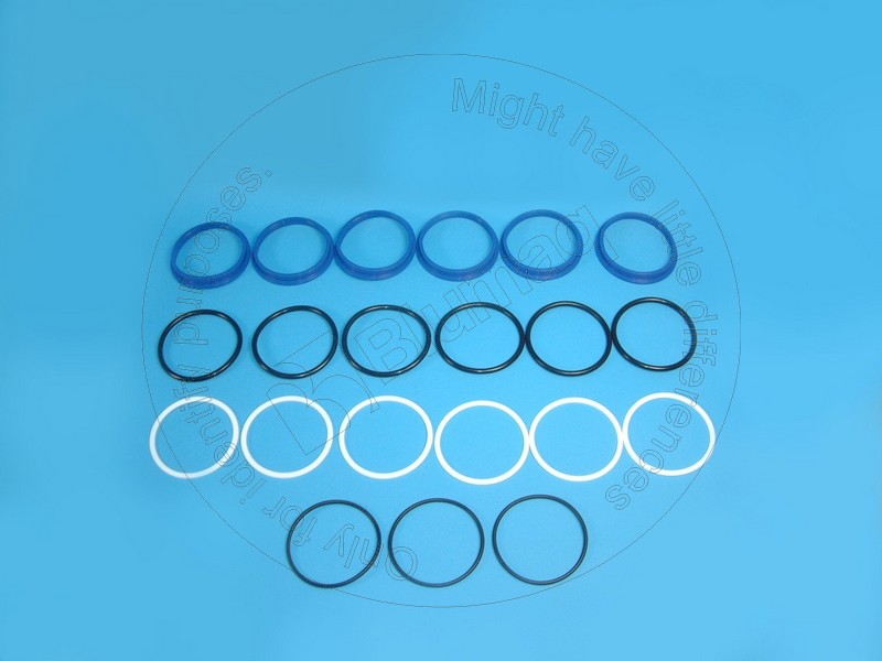 MPS3754 Brake Seal Kit for BLUMAQ