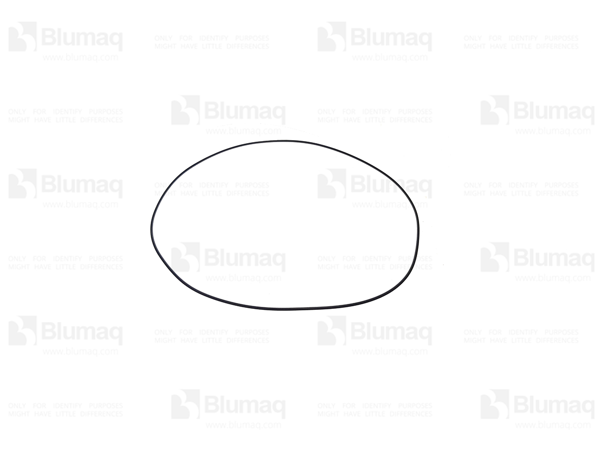 900.02203 Seal O-ring for BLUMAQ