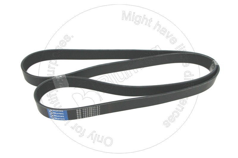 910115115 Ribbed Belt for BLUMAQ