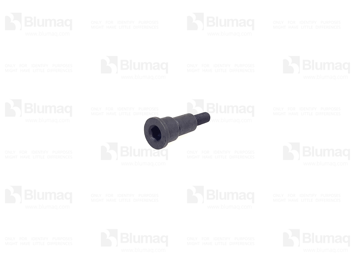 2887231XA Bolt