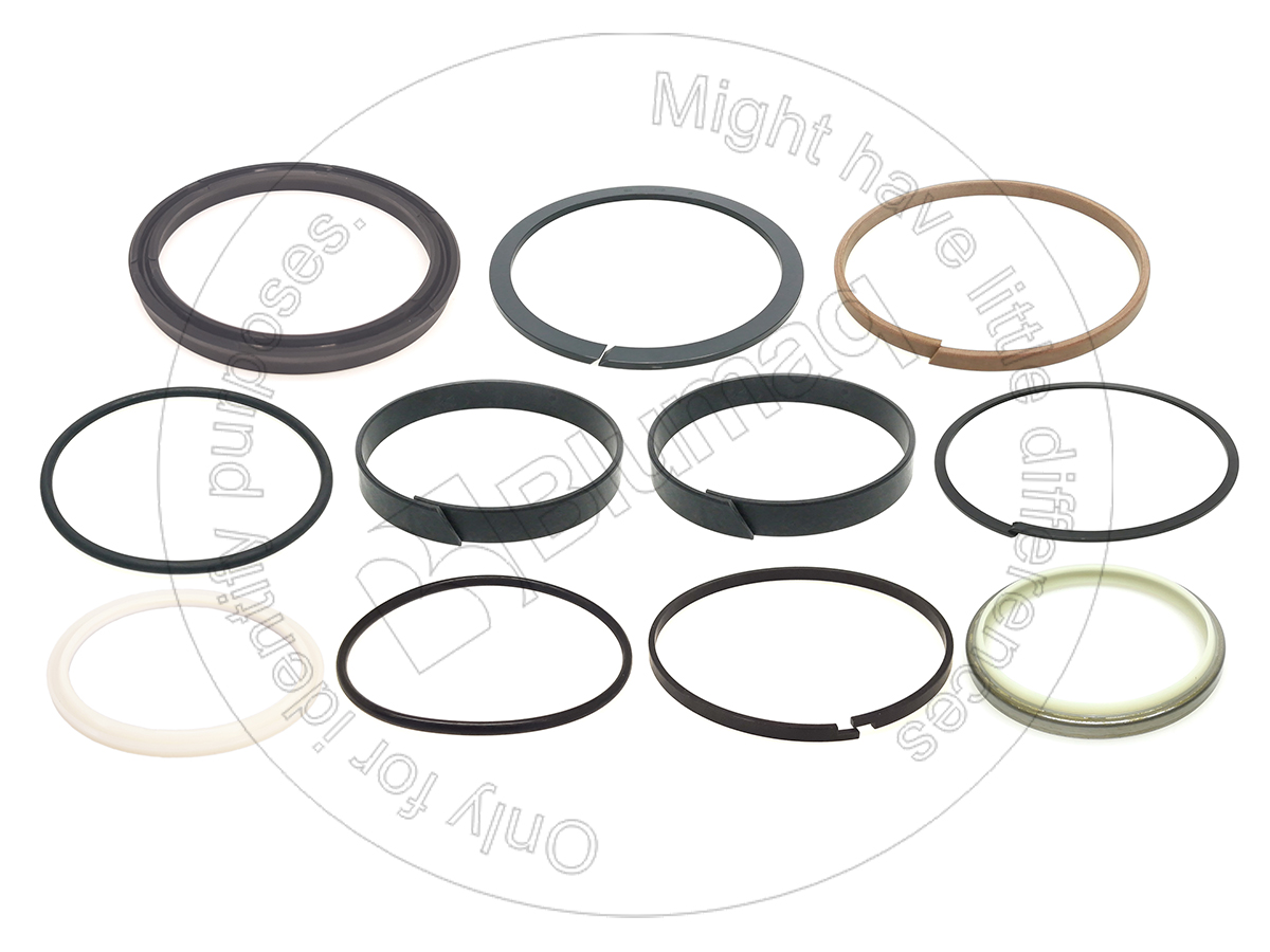 397-9295 Seal Kit for BLUMAQ