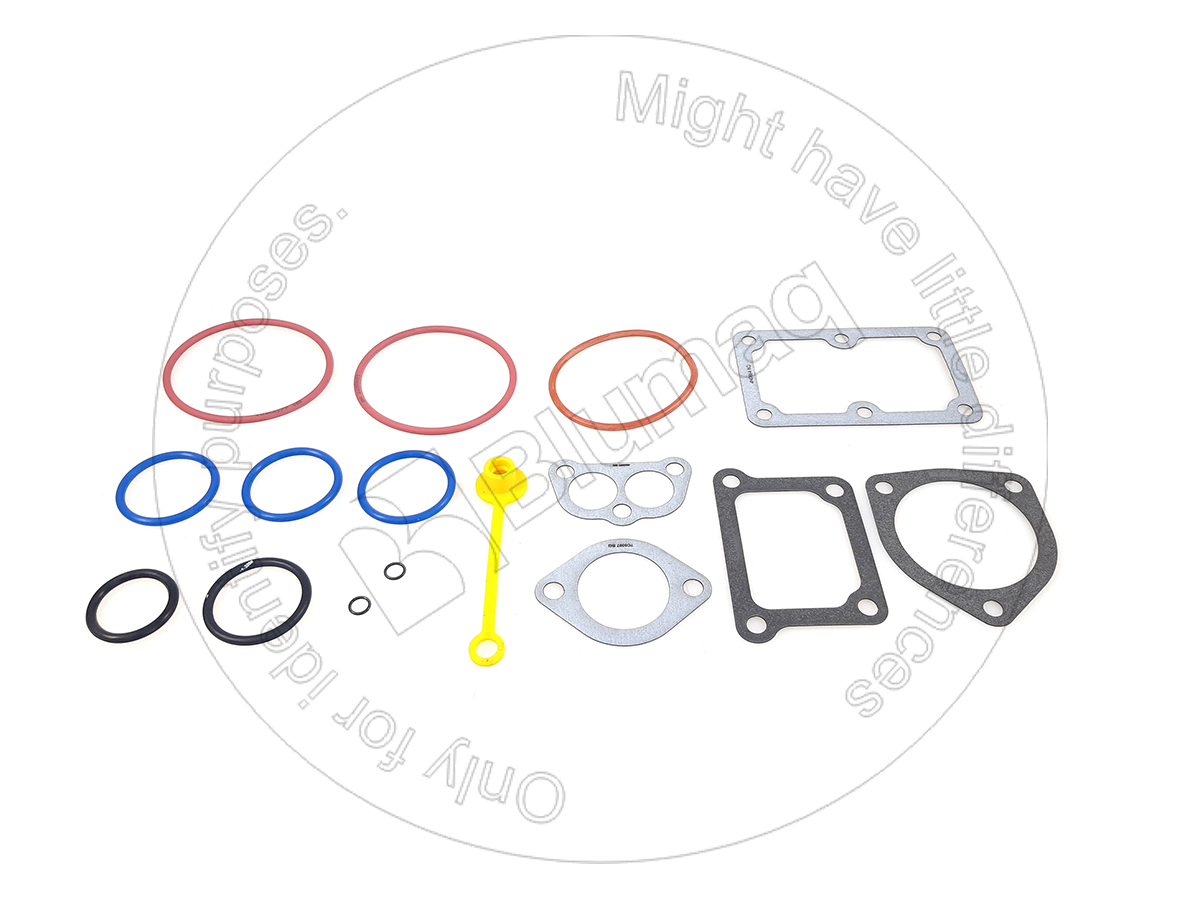 459-9781 Gasket Kit for BLUMAQ