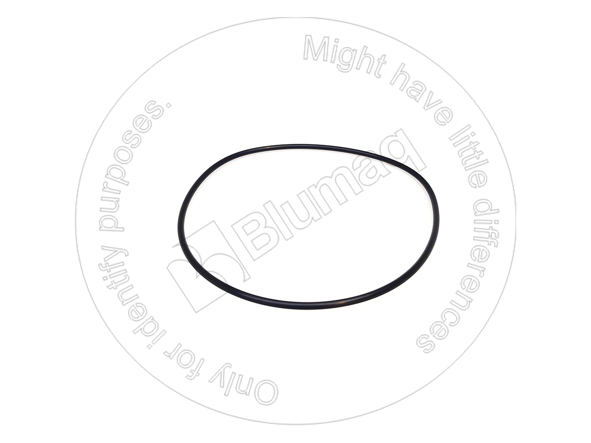 07000-05240 Seal O-ring for BLUMAQ