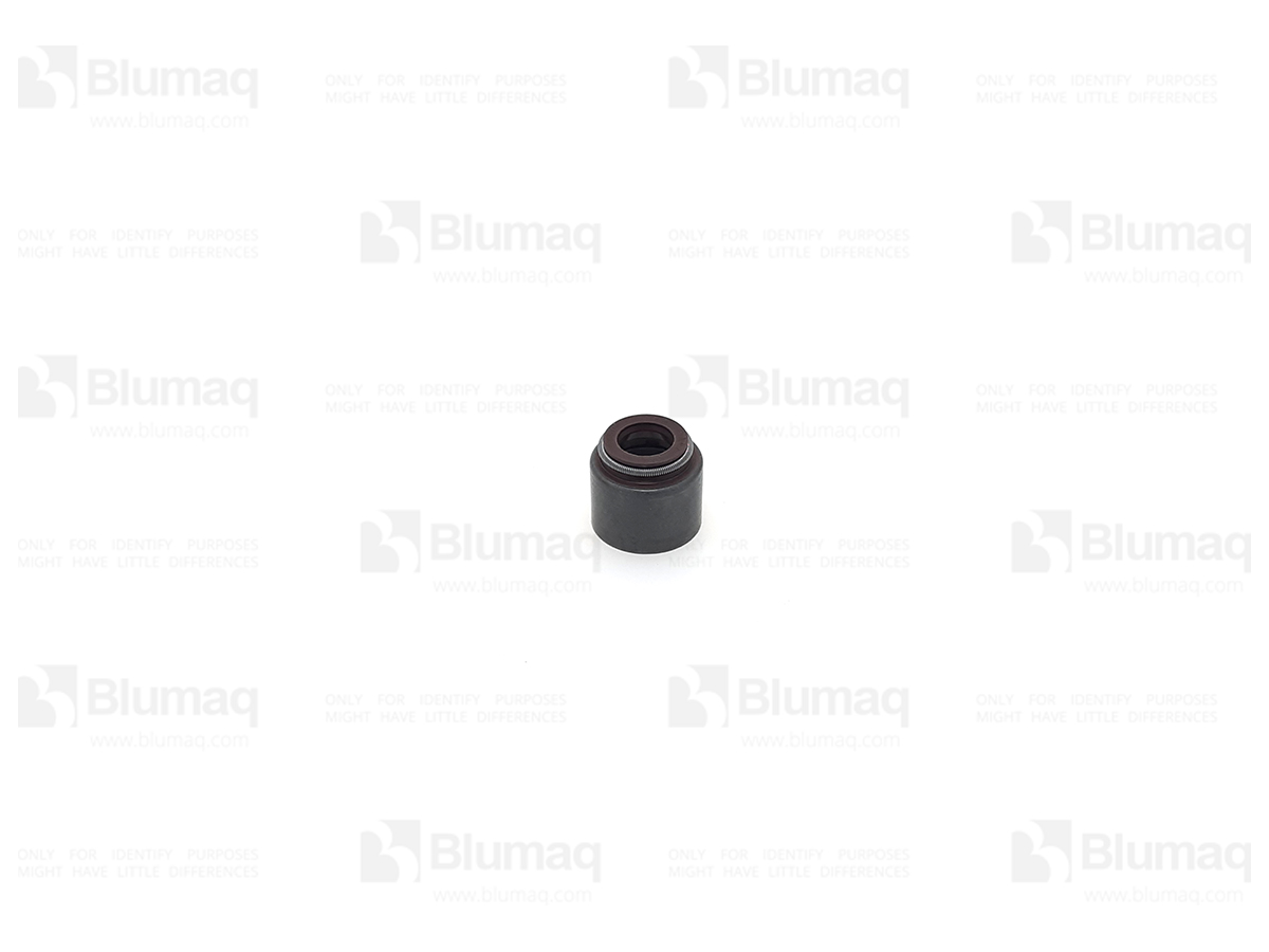 153-5554 Seal for BLUMAQ