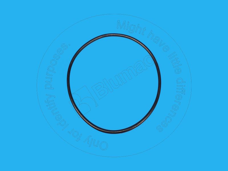 534-1222 Seal O-ring for BLUMAQ