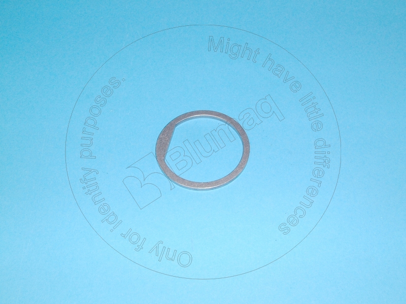 227489 BLUMAQ Washer
