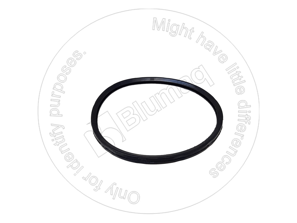 RV7421503575 Seal for BLUMAQ