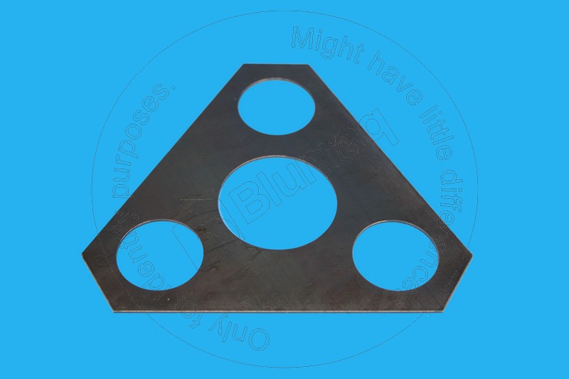 CS100555A1 CASE Plate