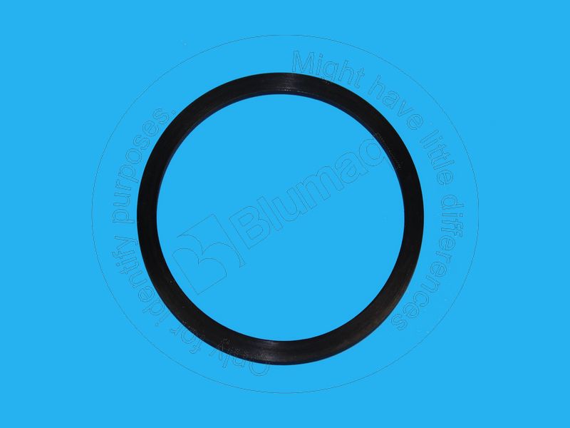 8J-4562 Seal for BLUMAQ