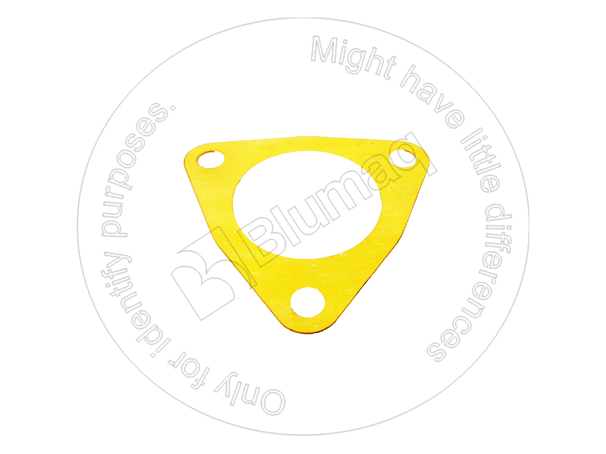 6210-61-6370 Paper Gasket for BLUMAQ