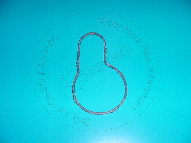 035.413 Seal for BLUMAQ