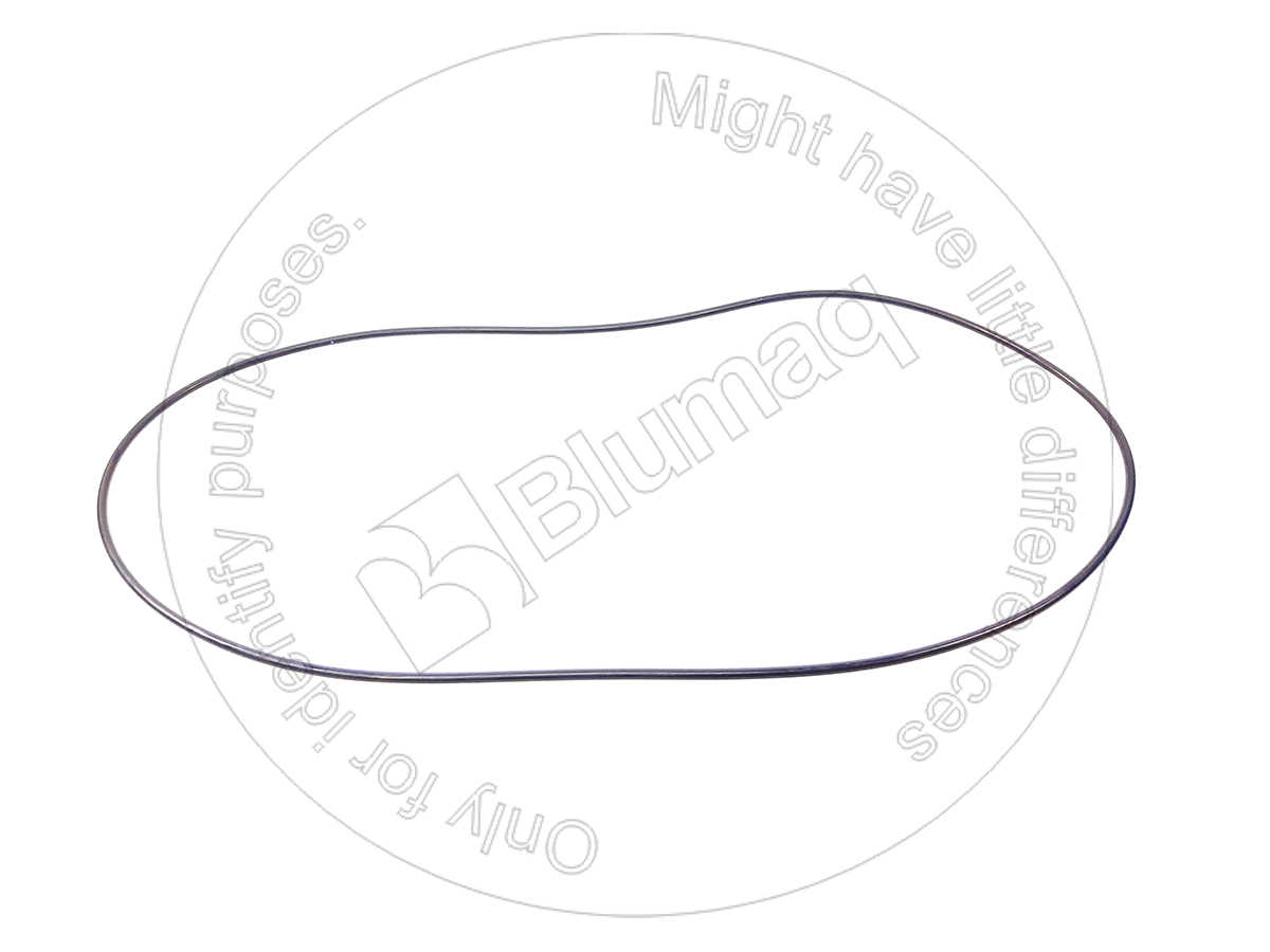 07000-05450 Seal O-ring for BLUMAQ